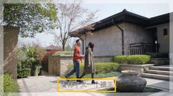 都挺好苏明玉霸气回归完整版,都挺好苏明玉资产