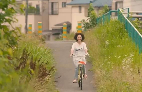 日本只有东京的房子,日本东京农村