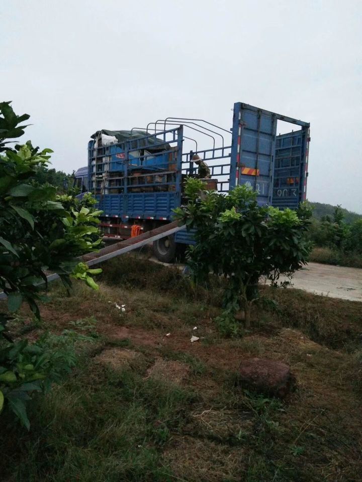 几十块钱买两斤蜂蜜靠谱吗？