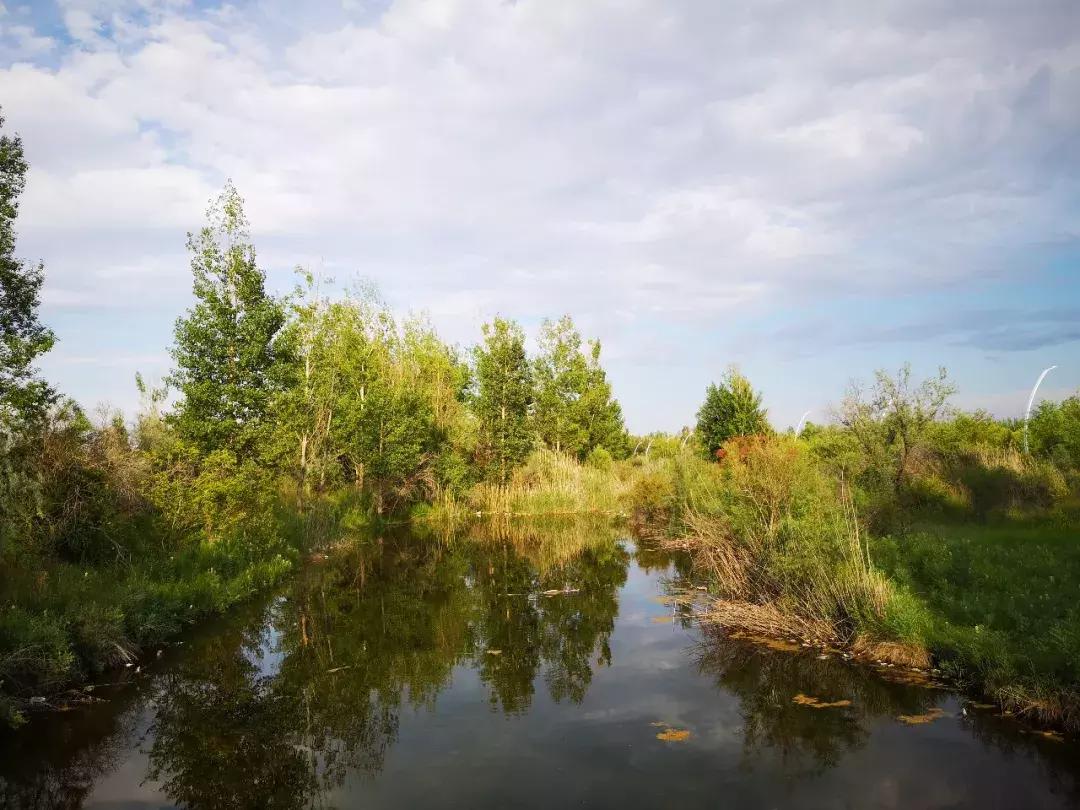 美丽伊宁市美景,美丽的伊宁城市