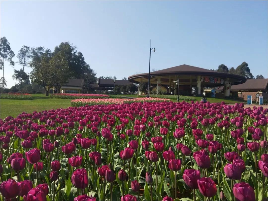 成都石象湖国家级生态园,成都石象湖风景区