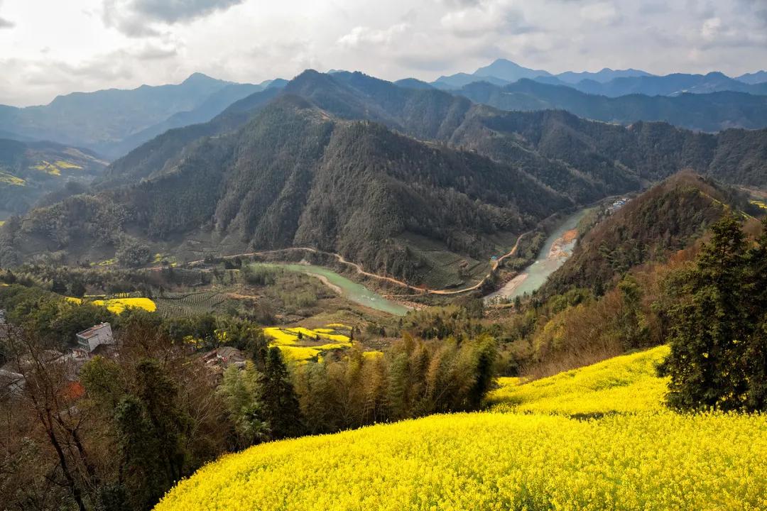 安徽春天美丽的视频,安徽美丽的春天