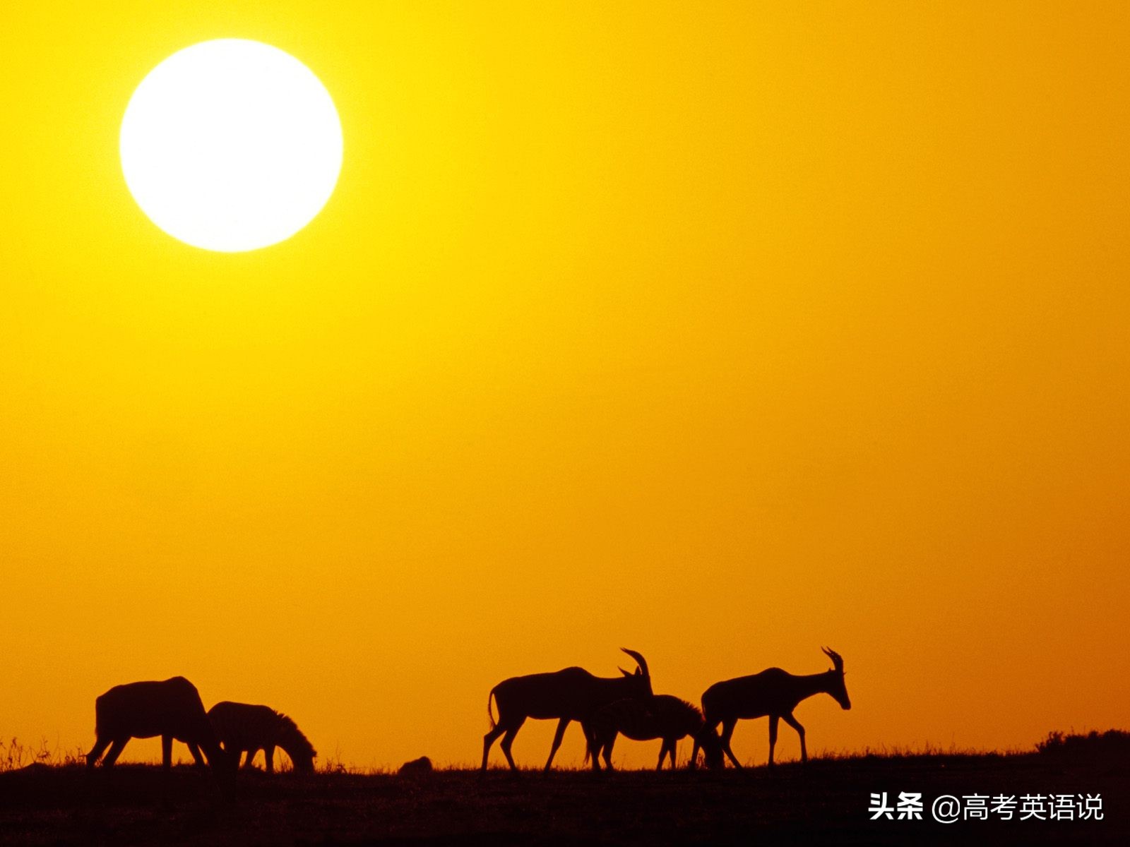 几句英语介绍一下高中生的自己