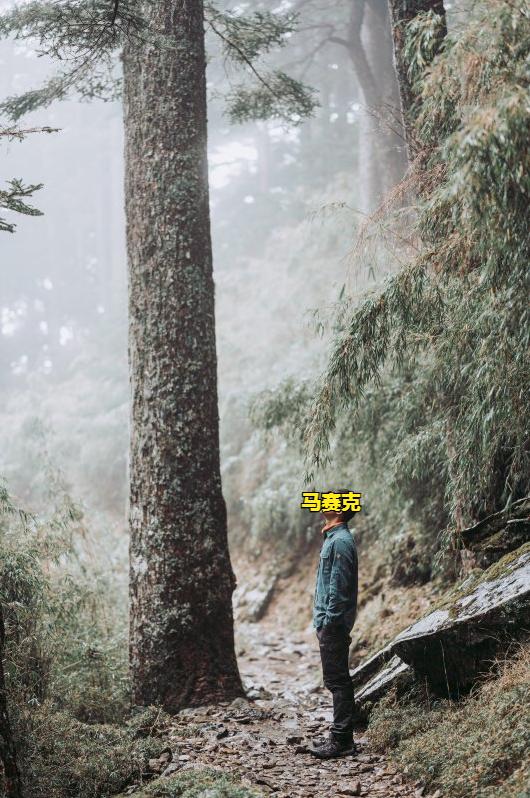 瑞典北极狐fjallraven羽绒服m码,fjallraven北极狐双肩包75折