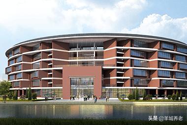 广州市天河区岭南养生谷养老院,广州颐寿养老院一览表