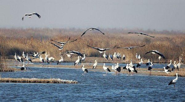 山东省17市车牌排名,山东十七地市机动车车牌号代码