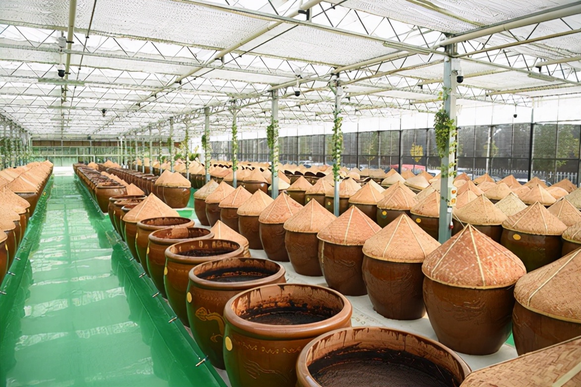 泱泱齐风临淄,淄博临淄世界足球起源地