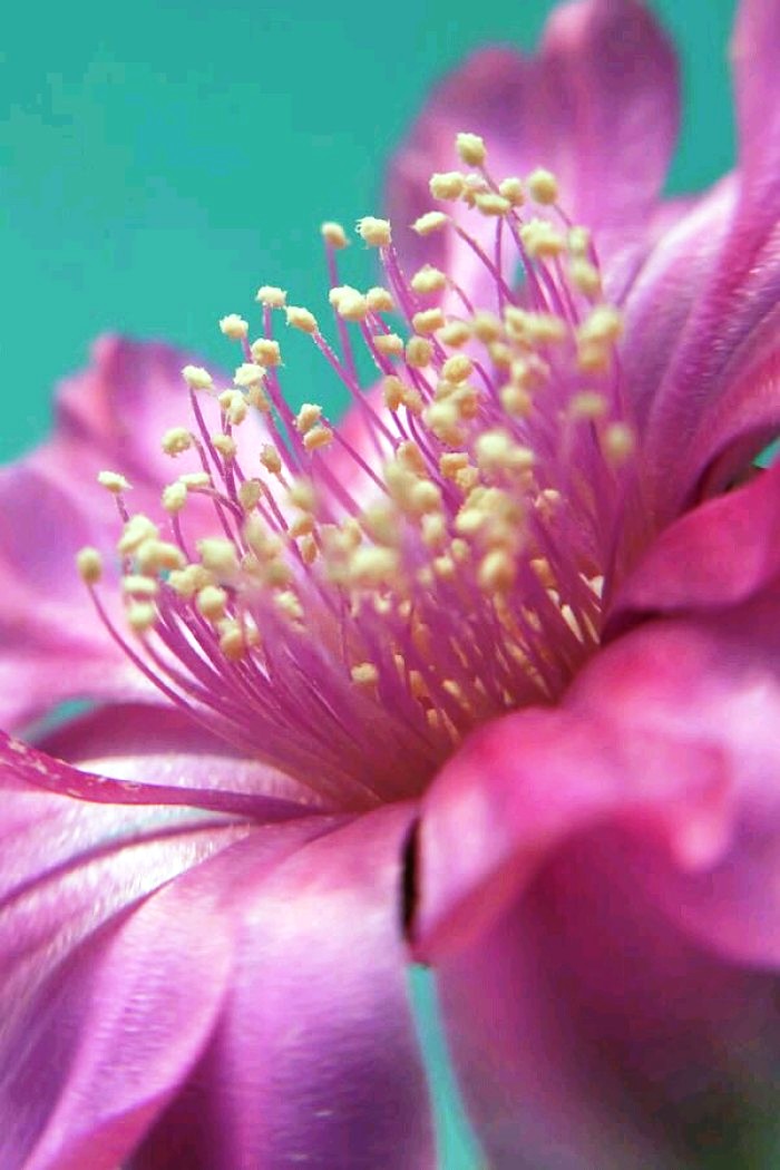 朋友圈说说大全简约又精致的句子,朋友圈说说精致的句子