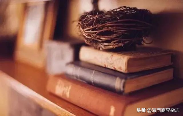 冷笑话之王是谁,冷笑话之王