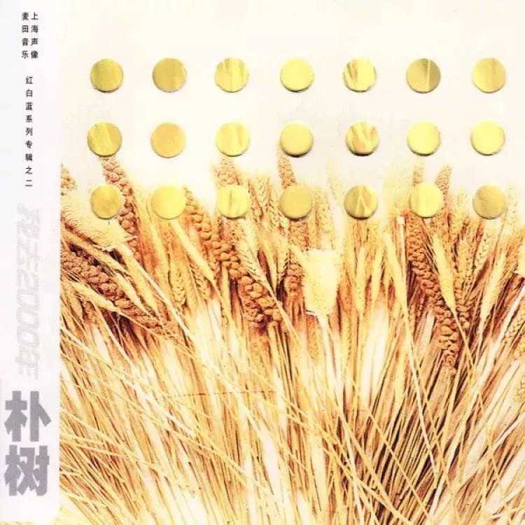 朴树消失10年后采访,朴树突然离场全集