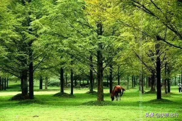 恩施为什么是中国最美的地方,恩施风景真的美