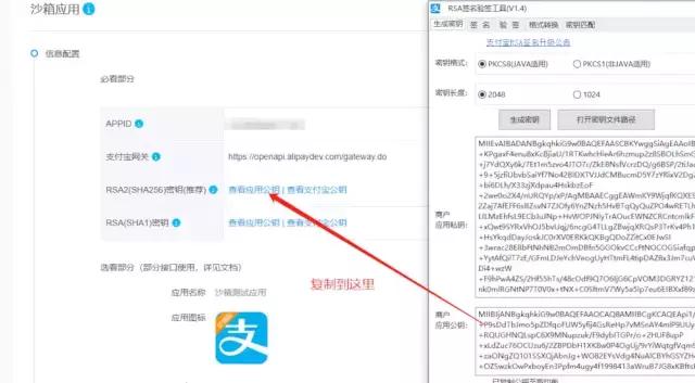支付宝沙箱调试接口,调用支付宝沙箱支付后跳转页面