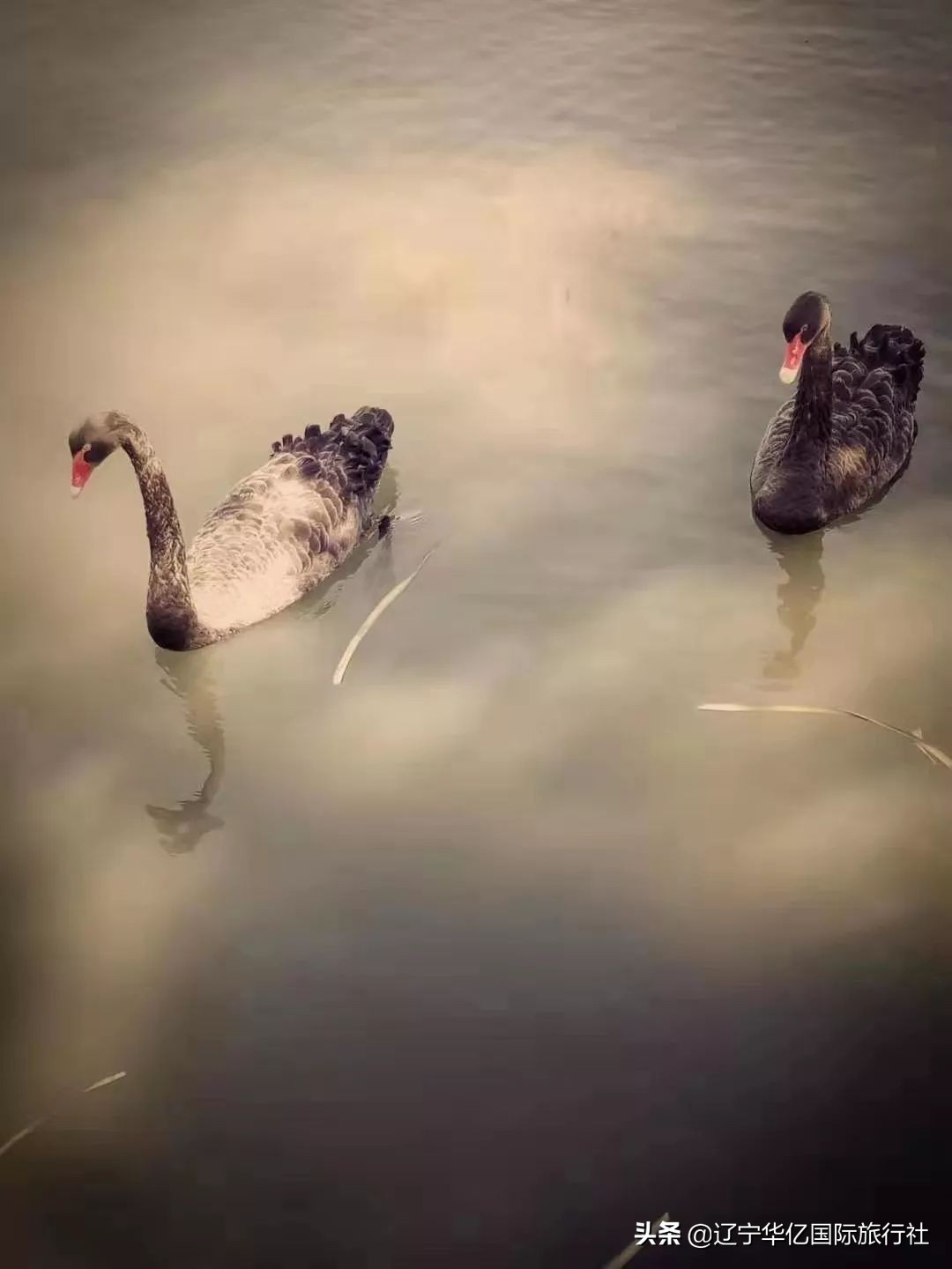 看世界震撼视频,看世界的震撼