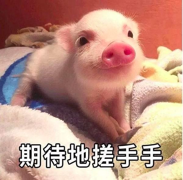 ysl小金条1966断货了吗,ysl小金条停产是真的消息吗