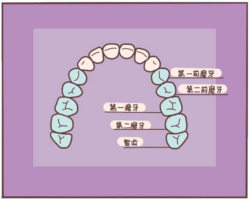 你的牙是怎样一步步坏掉的,牙齿是怎么变成蛀牙的