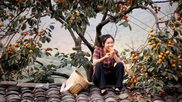 “阿盆姐”让世界迷上了云南，来认识一下这位90后云南妹子的生活