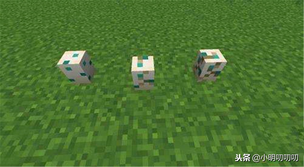 我的世界中海龟可以干什么,探秘珍稀海龟的生活和保护工作