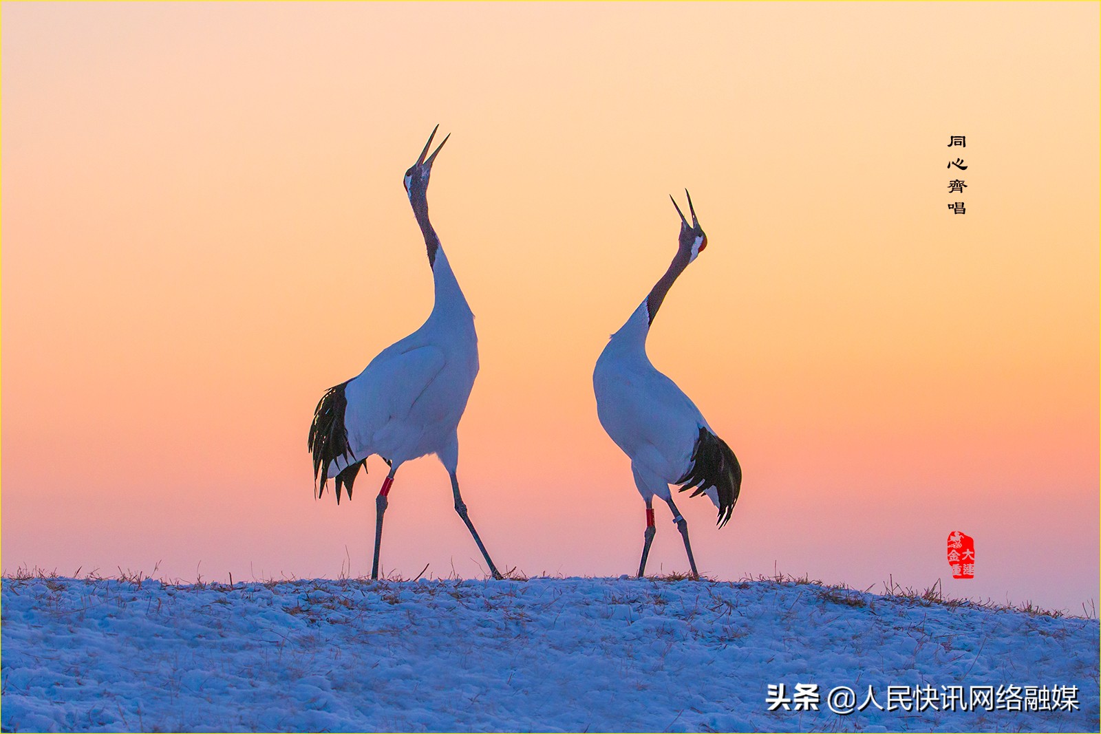 白衣天使大爱无疆的精神,白衣天使大爱无边完整版