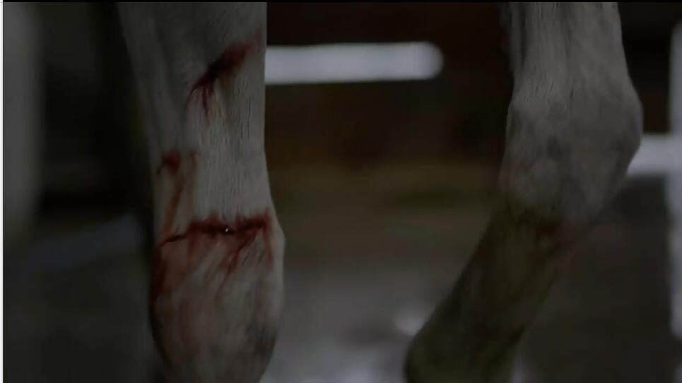 一人一马，车太贤倾情演绎跌倒的人生如何再爬起来