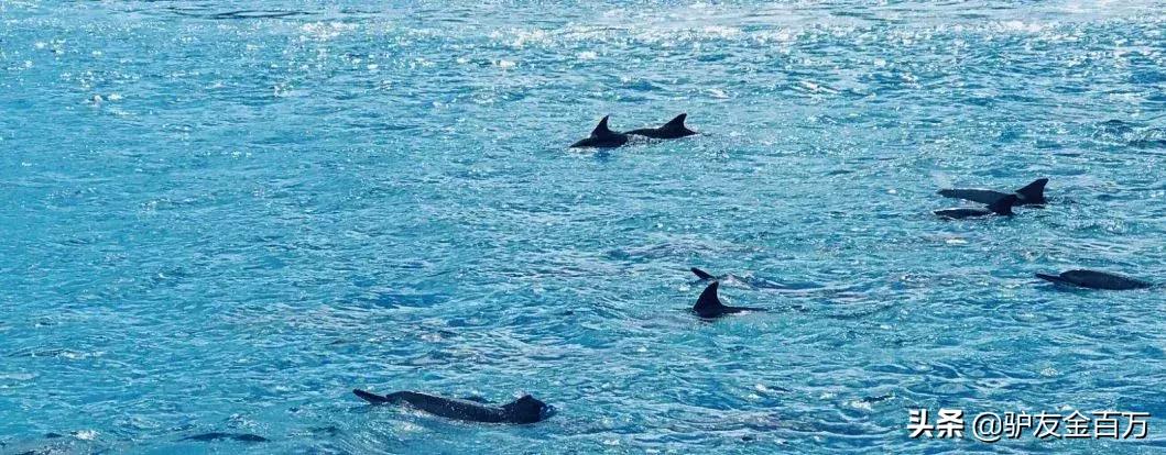 中国护照免签与落地签证名单,中国出入境免签和落地签国家名单