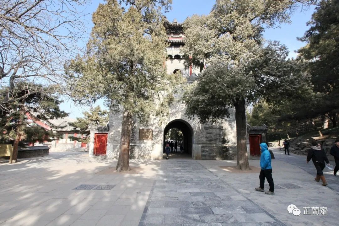 觅画记之黄宾虹,觅画记冷枚