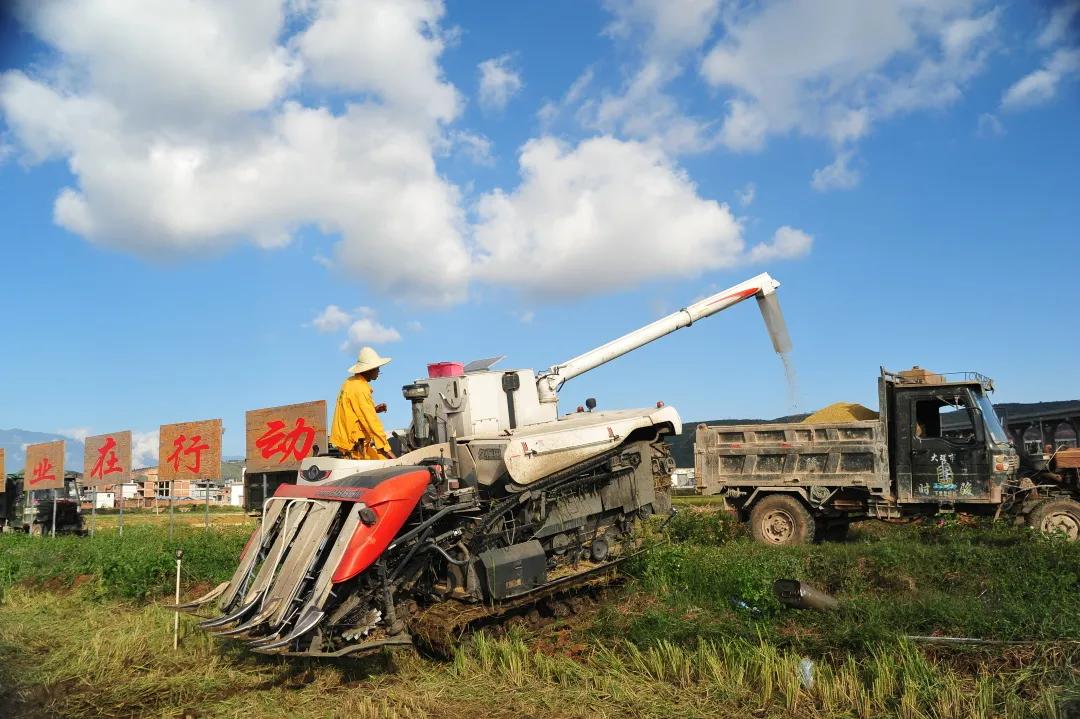 2023平遥国际摄影节获奖摄影作品,2009大理摄影展获奖作品