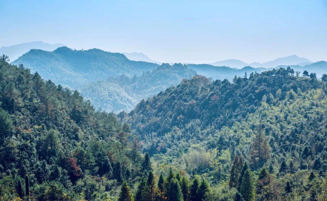 绿城桃花源的特点,绿城桃花源未来山