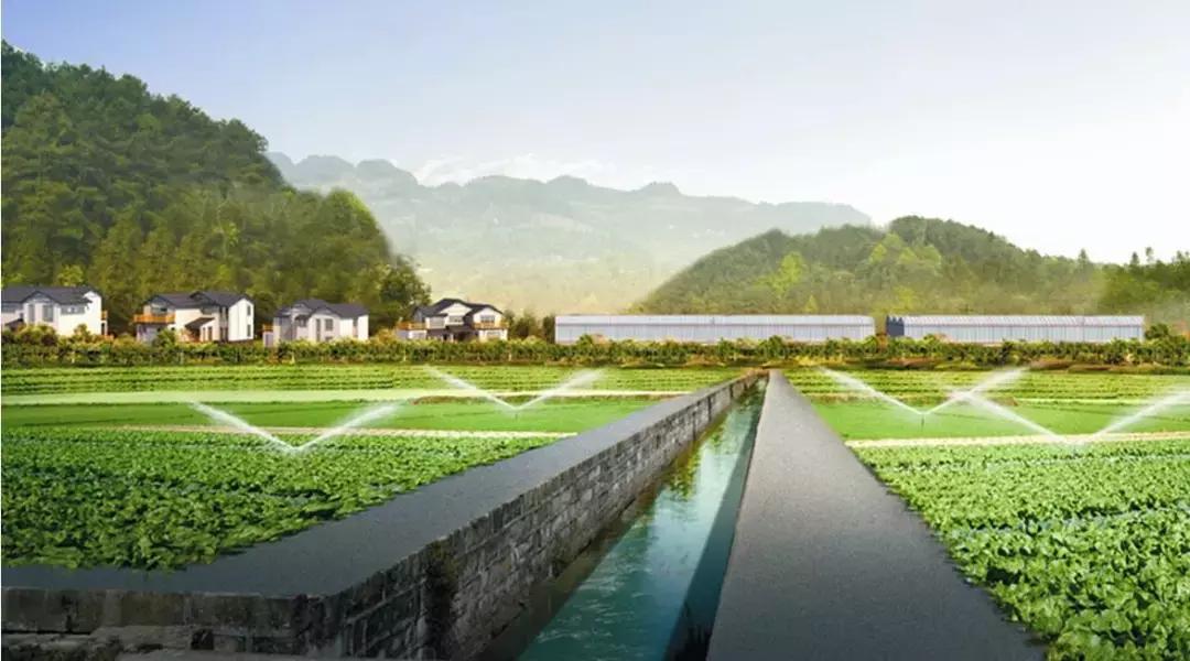 化肥为什么被称为“土地*片鸦**”?如何实现化肥使用量零增长行动?