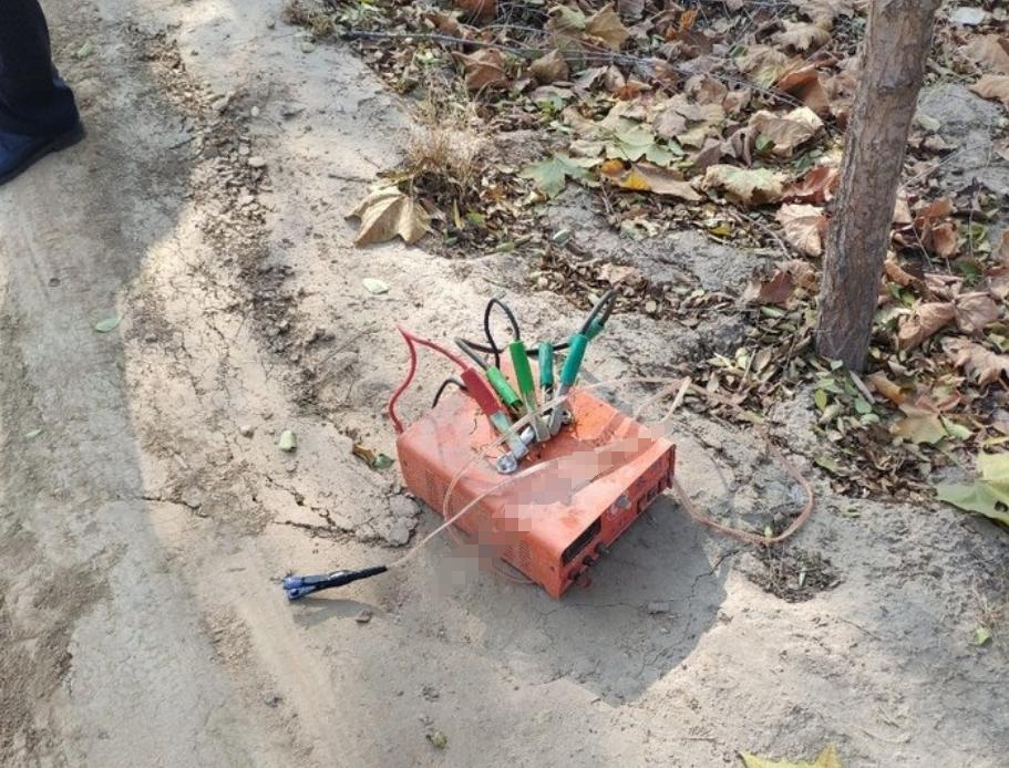 电鱼机有多厉害？一米多长几十斤大鱼瞬间翻白，小鱼活活电死