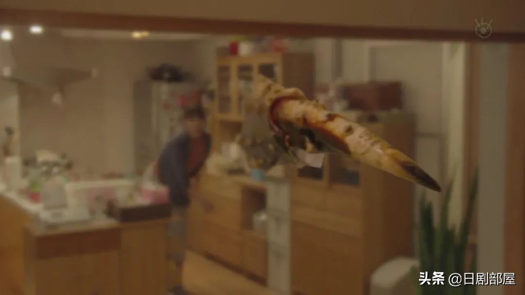 一觉醒来发现妻子换人了,反婚反育日剧推荐