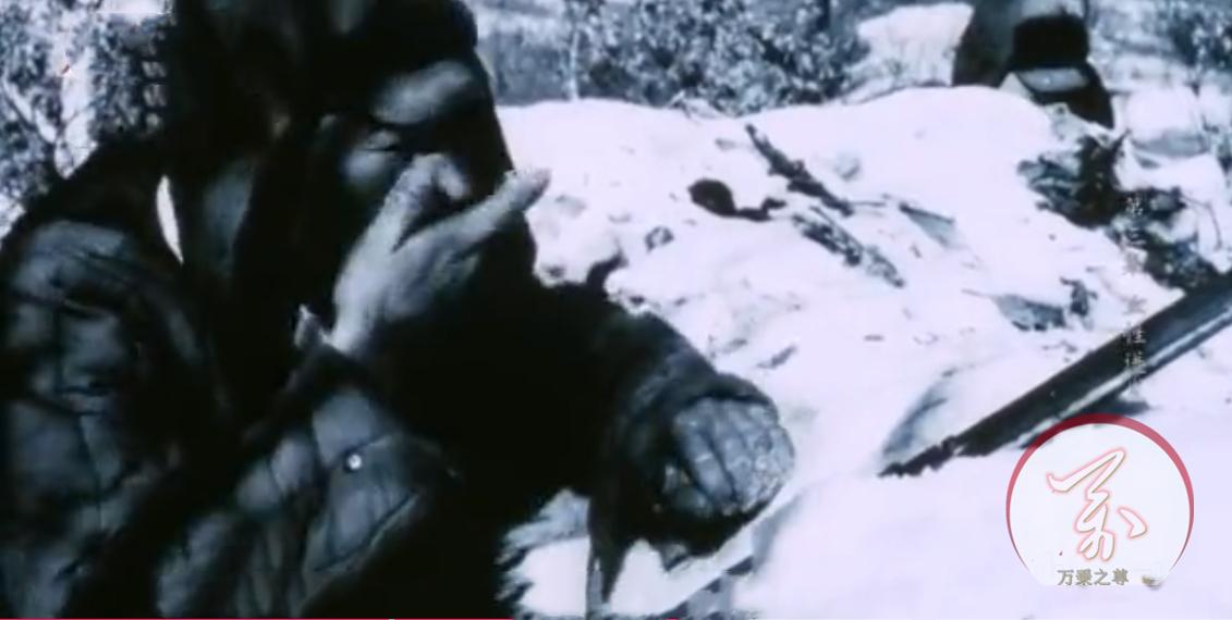 长津湖战役中美兵力对比,长津湖之战歼灭美军多少人