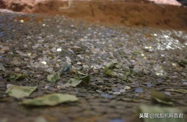 许愿池扔硬币的危害,许愿池丢进硬币表示什么