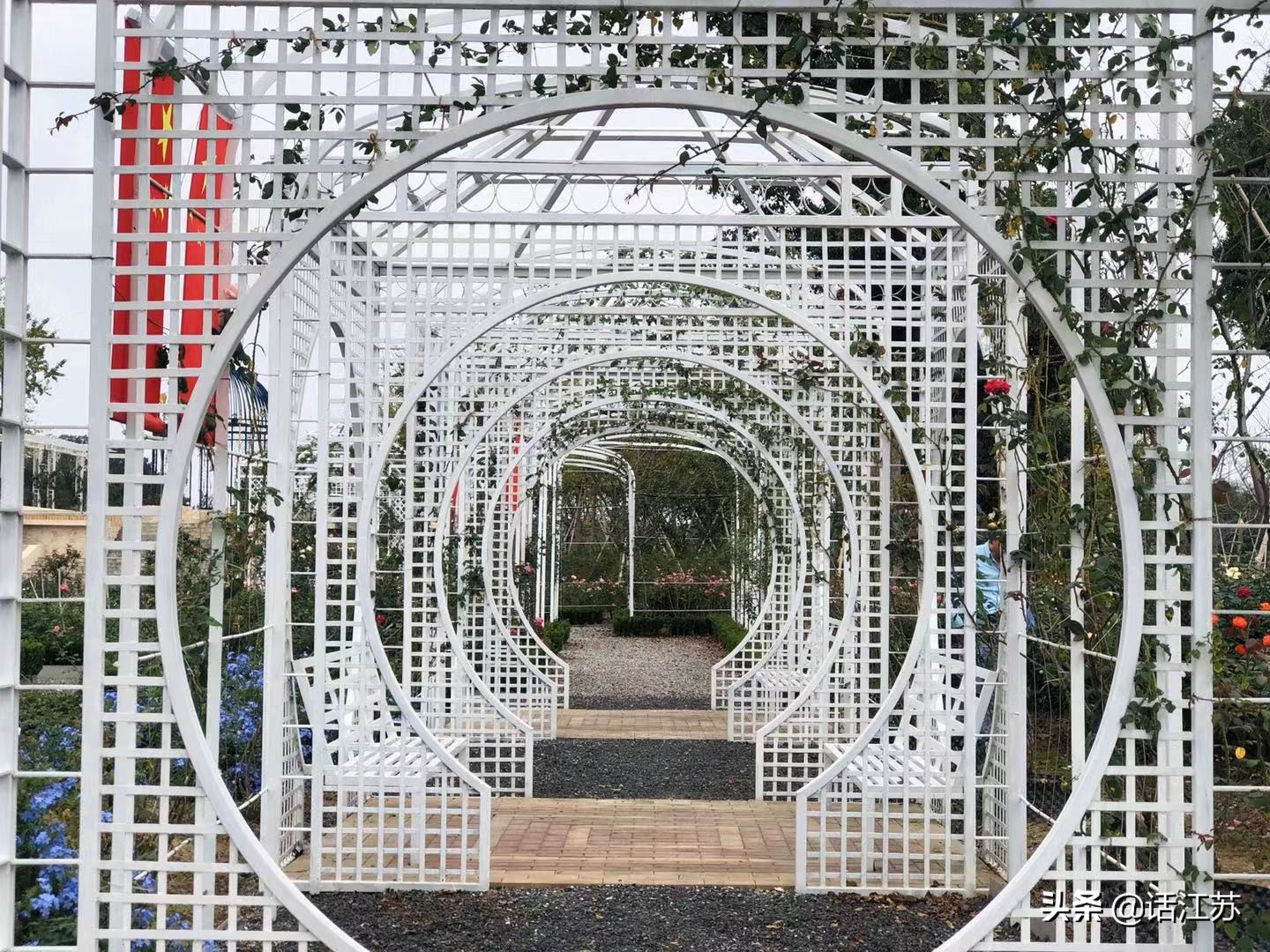 南京赏花的地方有哪里,南京赏花踏青