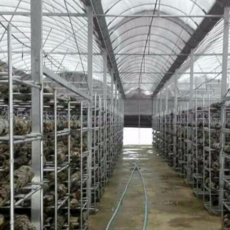 广东蓝莓钢架大棚造价多少钱一平,如何提高大棚钢架结构造价