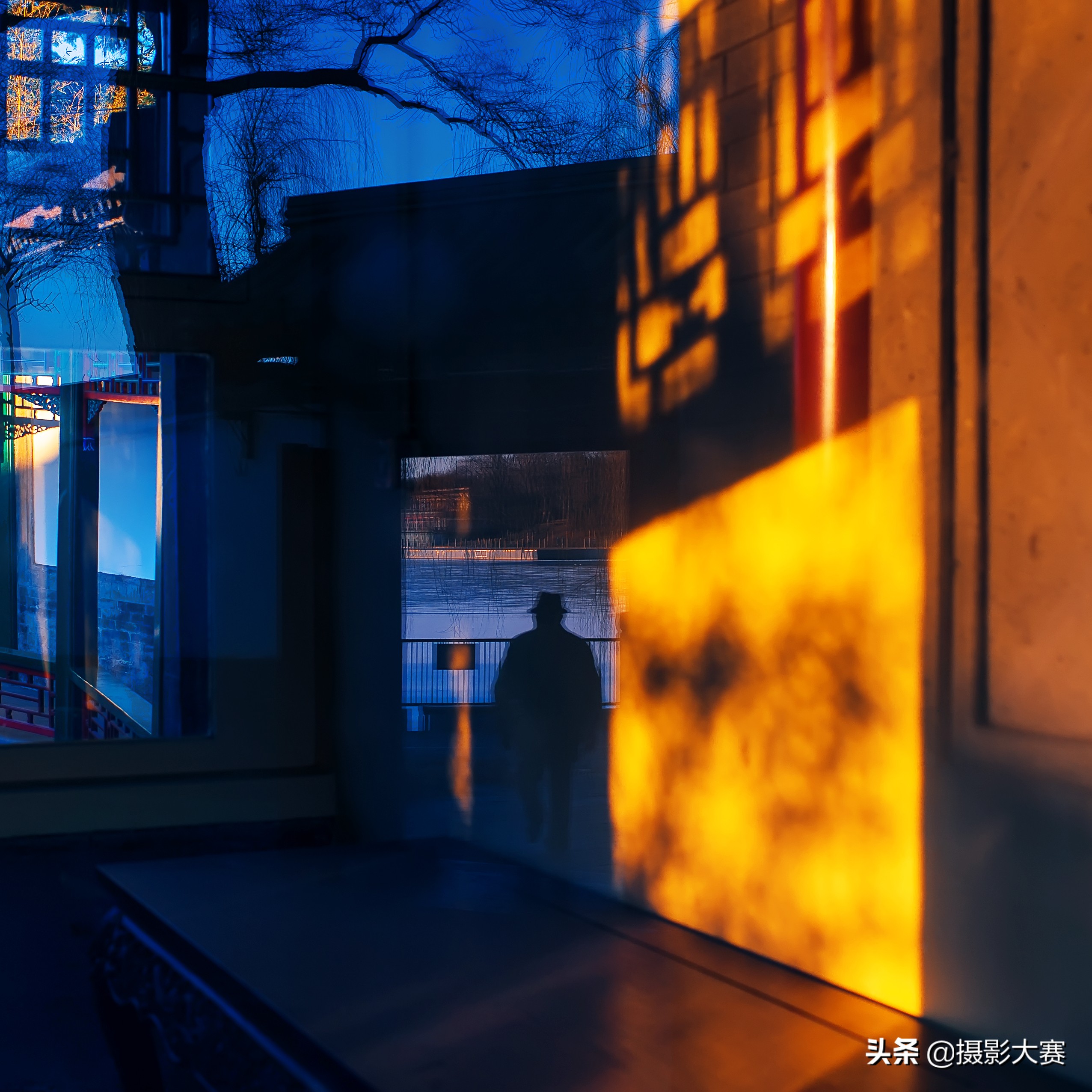 有你吗原版视频,尼康摄影大赛精选