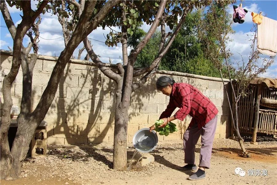 库塘蓄水不足会怎样,今年各大水库蓄水情况