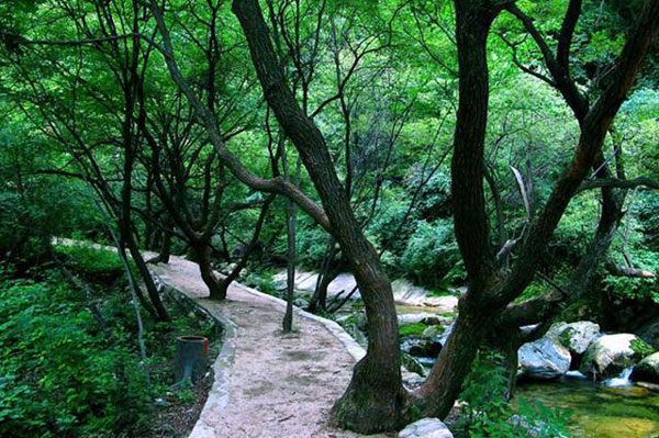 渭南文化旅游节,9月27日渭南文化旅游资讯微报