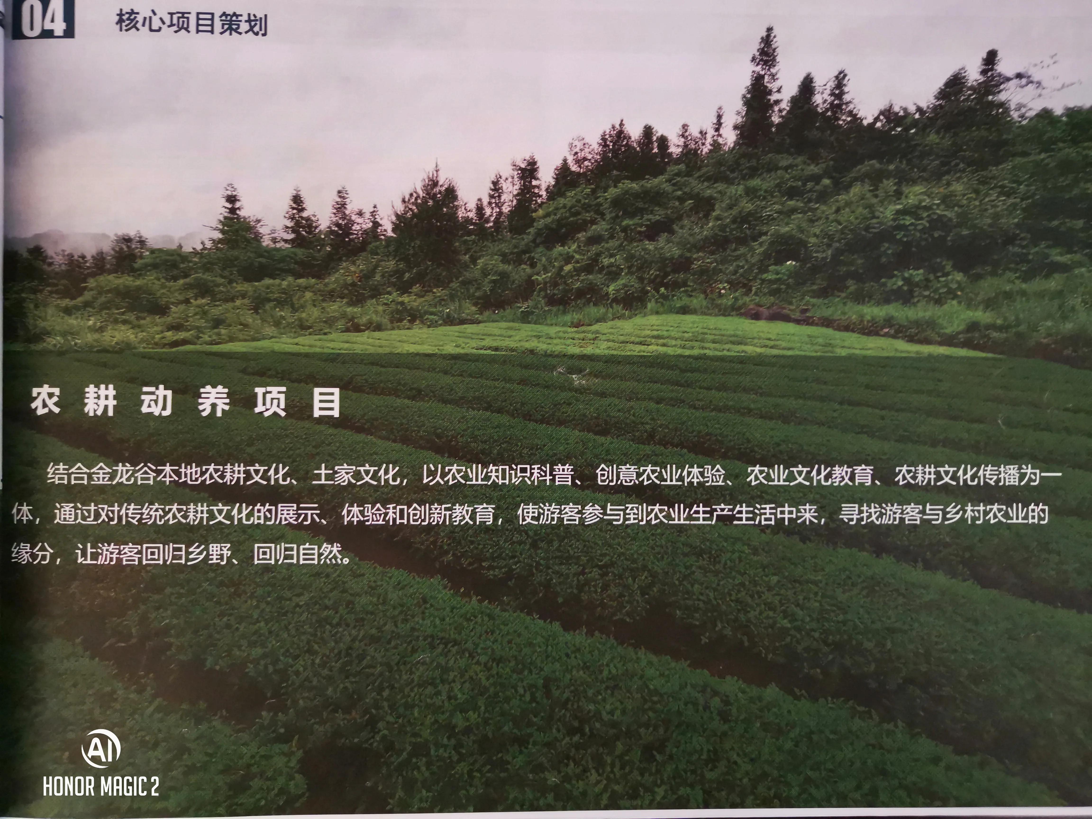 宣恩金龙谷田园综合体项目,九龙峪田园综合体