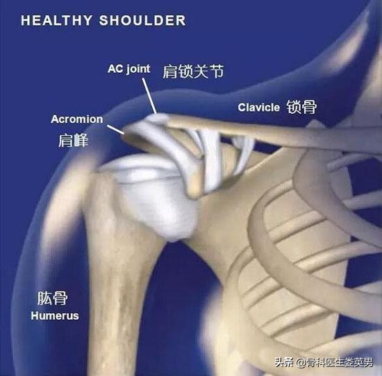 武磊左肩骨错位韧带撕裂,武磊首次回应左肩伤势