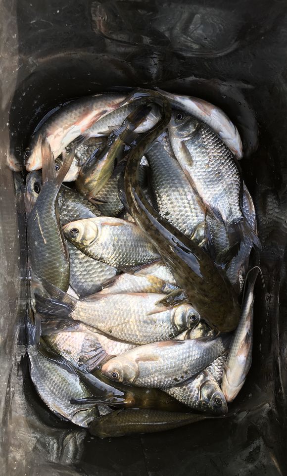 线组的正确组合和影响,线组怎么选择大小