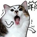 酒店经理组织卖淫罪判决案例,酒店内卖淫被抓店长有没有责任