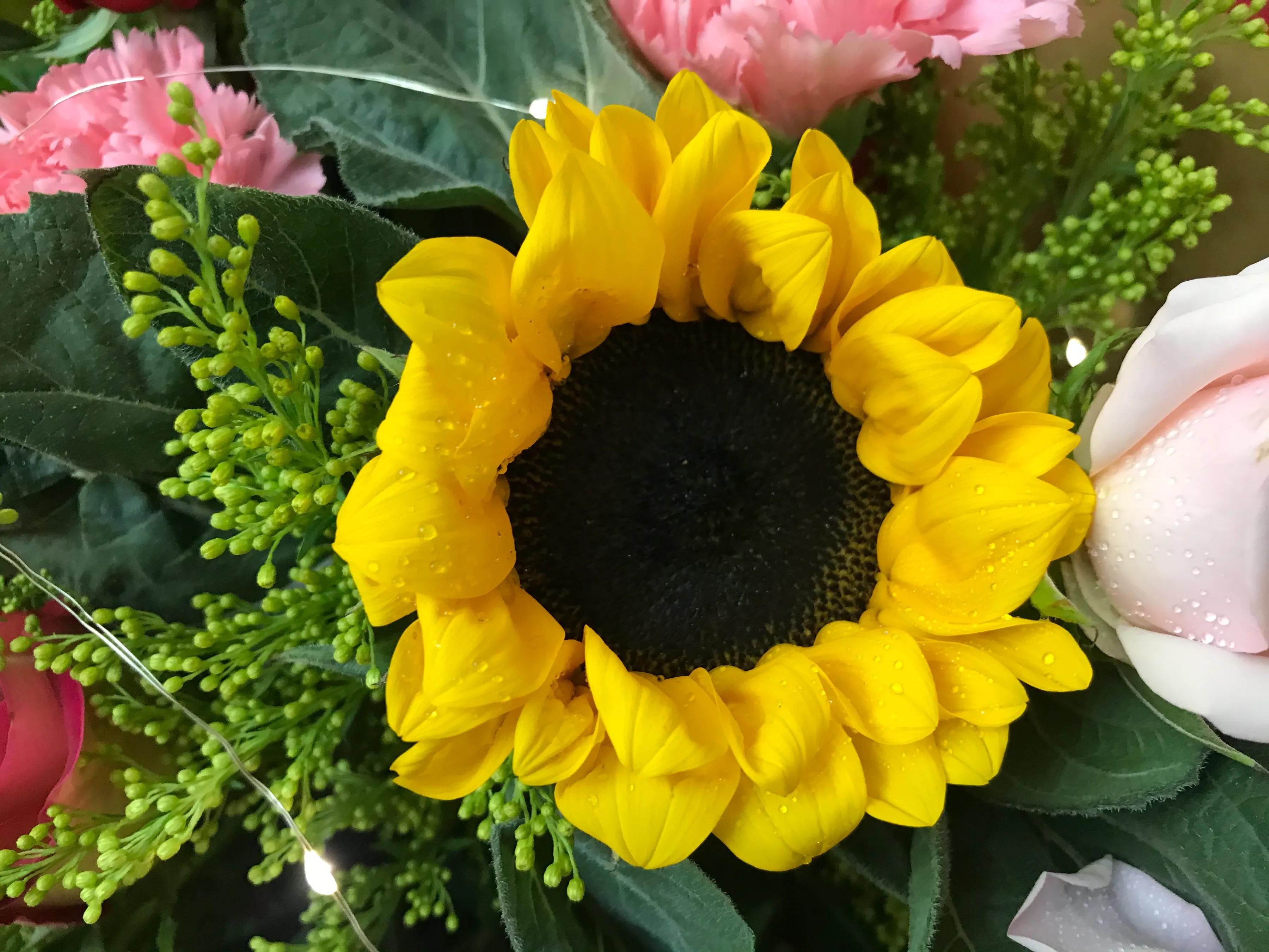 婚车插花学不会,学习插花学不会