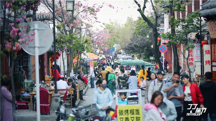 大理是不是一个纯旅游城市,大理的优点
