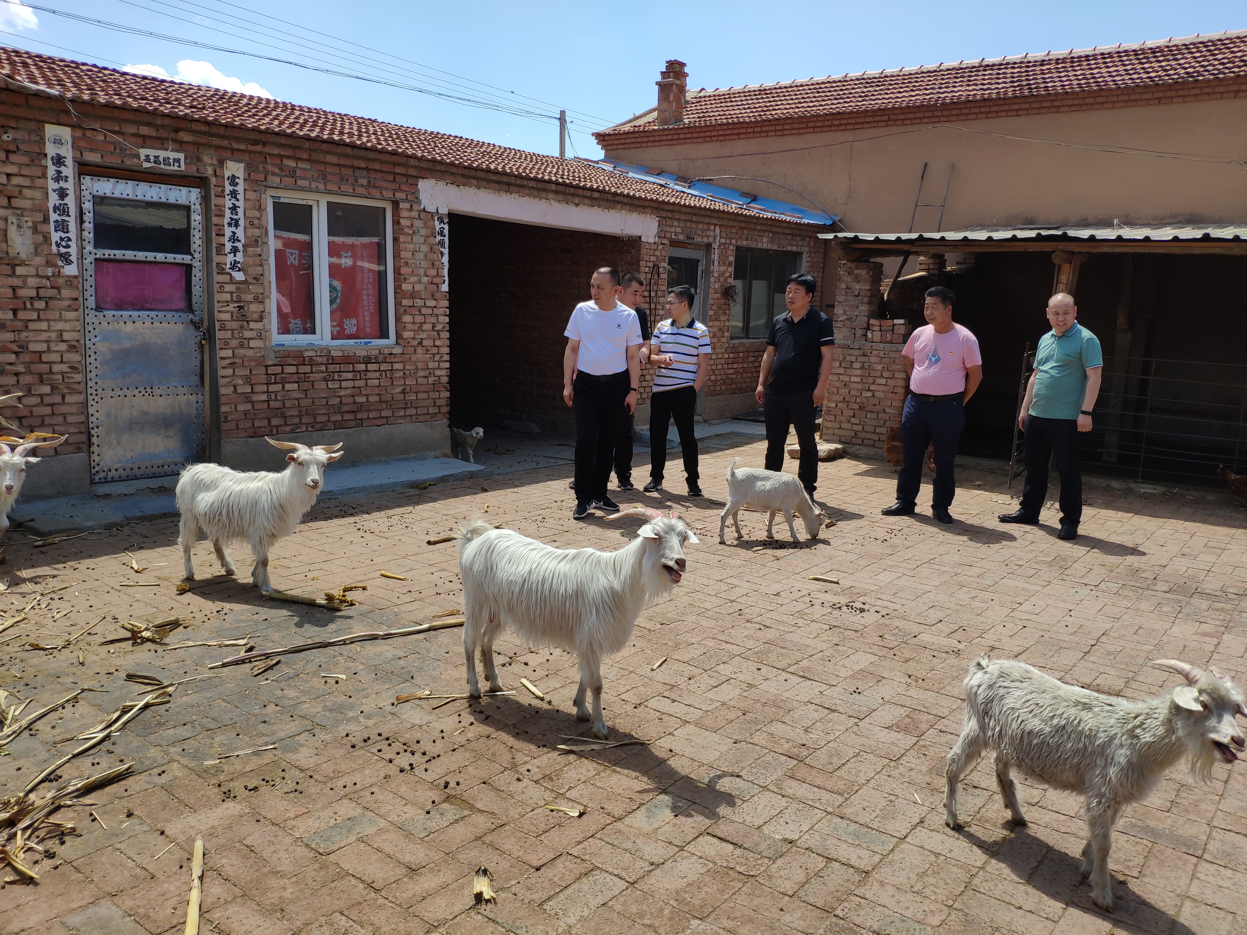 彩线轻缠红玉臂下一句,彩线轻缠红玉臂古诗