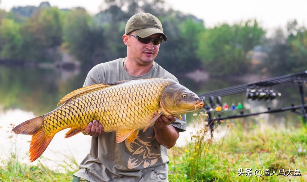 湖库钓鲤鱼线组怎么调漂,湖库鲤鱼饵料最佳配方
