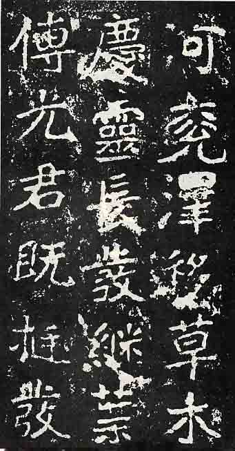 纭瑪妤蜂功缁撴瀯,妤蜂功缁撴瀯璇︾粏璁茶В