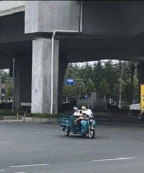 你看我们家的鹦鹉有多可怕,看看你家鹦鹉会享福的样子