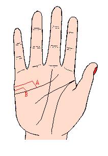 手相解密,手相掌纹分析学