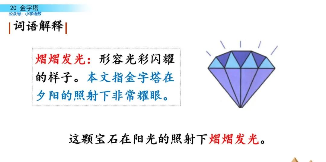部编版五年级下册语文金字塔教案,语文书五年级下册第20课课后练习