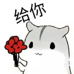 8个自学网站让朋友对你刮目相看,6个让你自学成才的网站